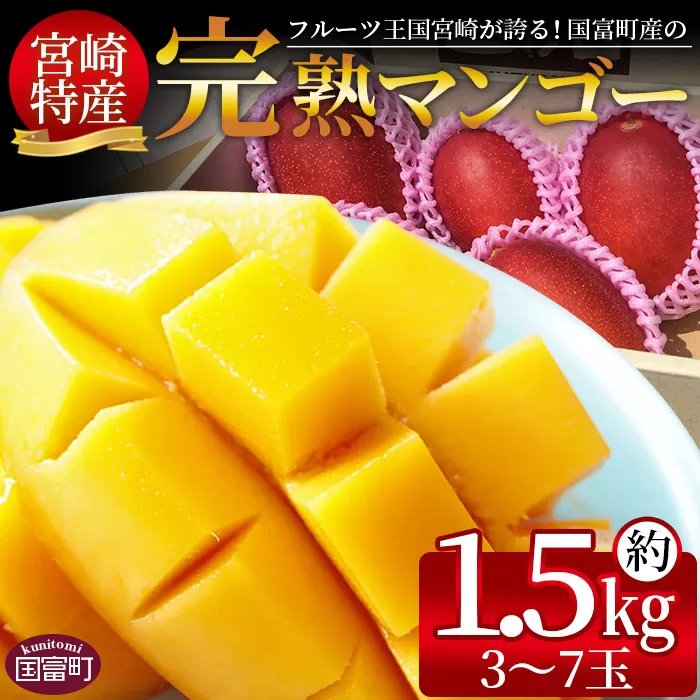 期間限定！2025年発送 ＜宮崎特産！国富町産の完熟マンゴー 3〜7玉（約1.5kg）＞2025年4月中旬〜6月中旬迄に順次出荷