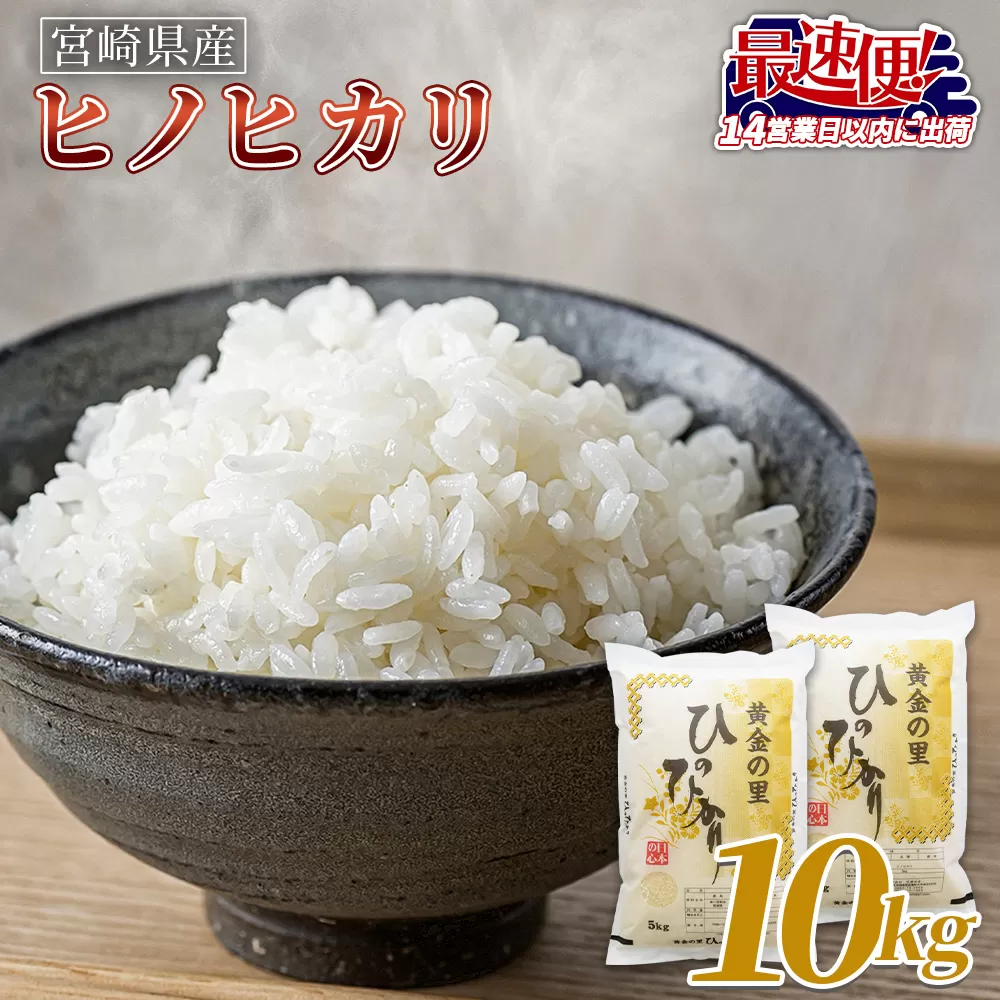 ＜宮崎県産米 ヒノヒカリ 10kg＞入金確認後、14営業日以内に順次出荷【 コメ 米 お米 白米 ご飯 飯 炊き立て こめ ひのひかり 宮崎県 県産 粒 炊き込みご飯 おにぎり 主食 】