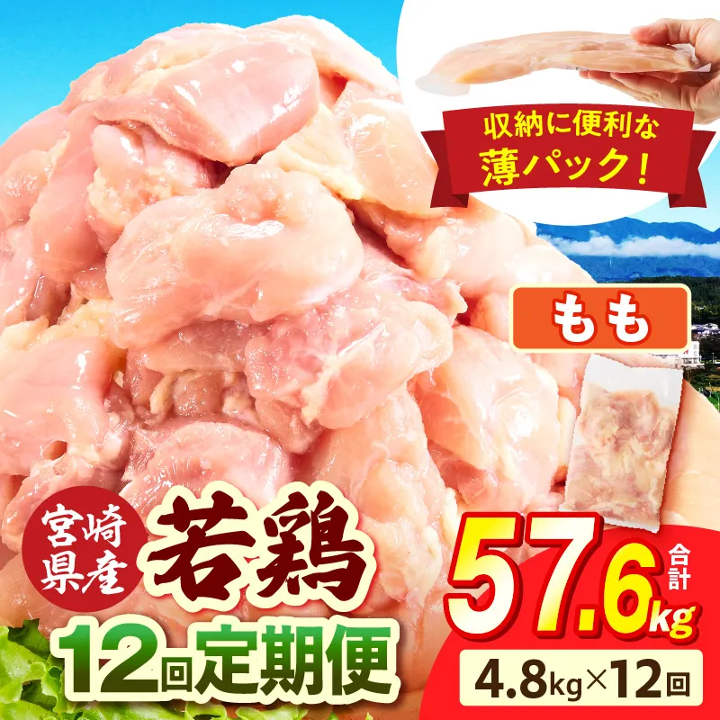 宮崎県産 若鶏切身もも肉 4.8kg（300g×16袋）【12か月定期便】
