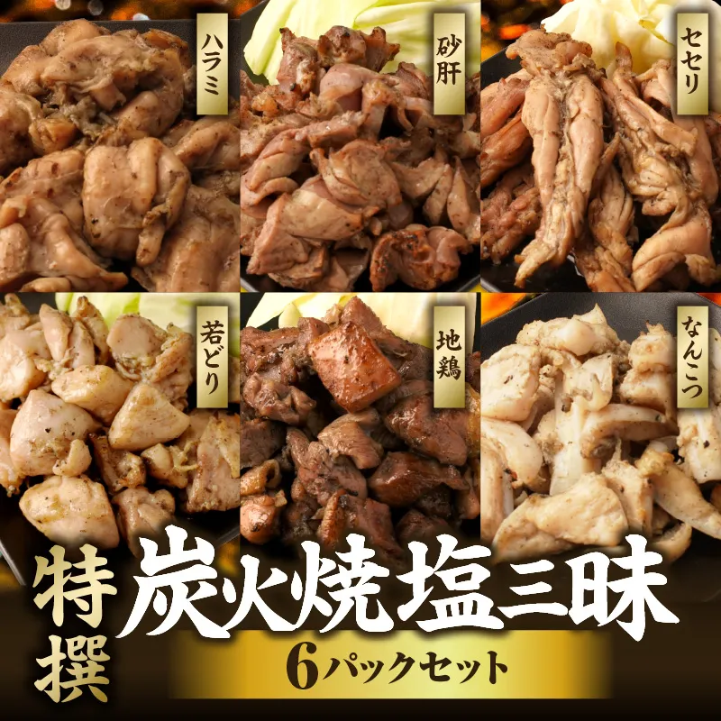 特撰 塩三昧 6パックセット
