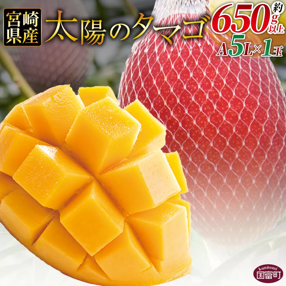 数量限定【2026年発送】＜宮崎県産 太陽のタマゴ A等級 A5Lサイズ×1玉（約650g）＞2026年4月上旬～6月末迄に順次出荷【 太陽のタマゴ 完熟マンゴー 完熟 マンゴー フルーツ トロピカルフルーツ 果物 くだもの おいしい 美味しい 甘い あまい 】