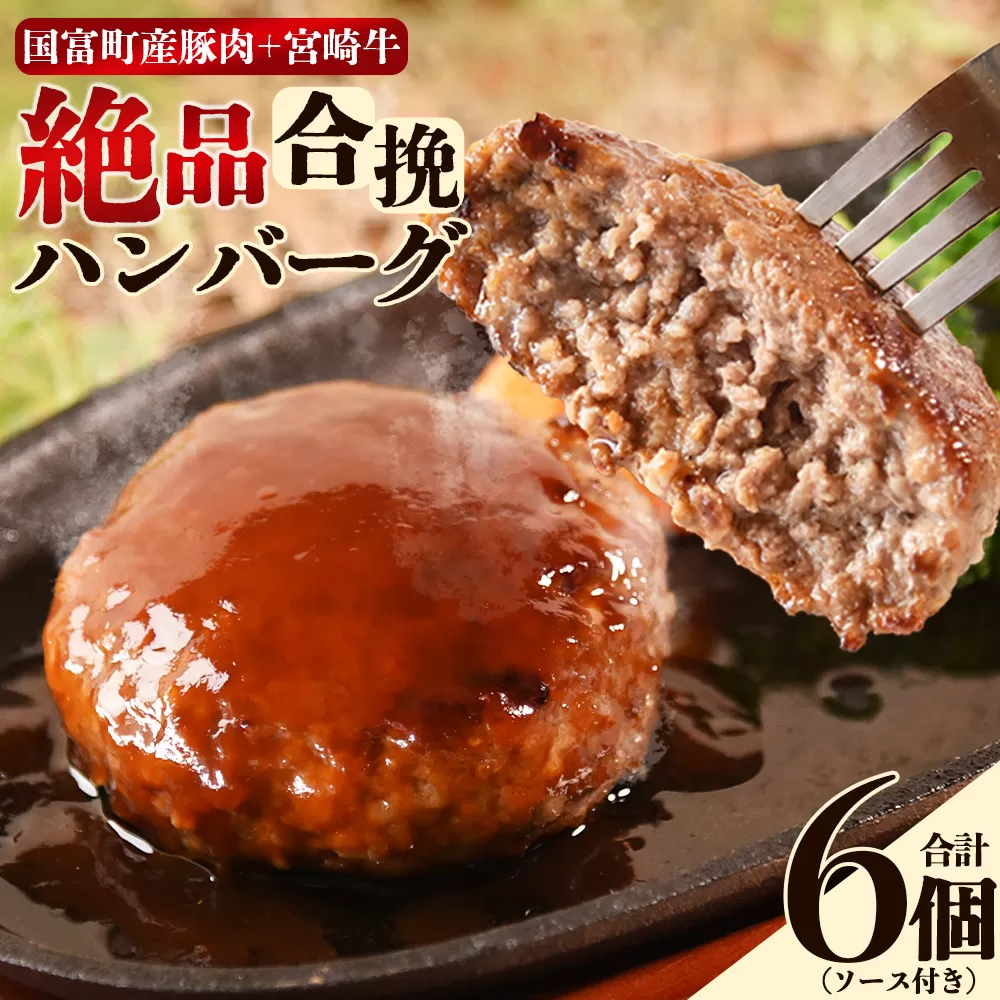 [絶品合挽ハンバーグ 6個]入金確認後、翌月末迄に順次出荷 ソース付き[国富産 豚肉 宮崎牛 ブランド牛 合いびき 合い挽き 160g ぶたにく 牛肉 おかず 一品 焼くだけ 簡単調理 お弁当 お取り寄せ おとりよせ グルメ 贈り物 ご家庭用]