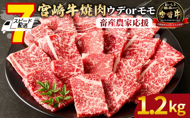 【畜産農家応援】＜宮崎牛 赤身焼肉 2パック（1.2kg）＞入金確認後、7営業日以内に順次出荷【 国産 黒毛和牛 牛肉 牛 精肉 スライス ウデ肉 モモ肉 4等級以上 ブランド牛 赤身 旨味 贈答品 ギフト 贈り物 プレゼント 化粧箱 グルメ ミヤチク 】