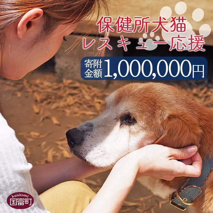 ＜保健所犬猫レスキュー【返礼品なしのご寄附】＞寄付金額1,000,000円※お礼状をお送りいたします。【 動物愛護 保護 犬 猫 いぬ ねこ イヌ ネコ 動物 どうぶつ ペット 応援 支援 寄付 使い道 いのちのはうす保護家 】