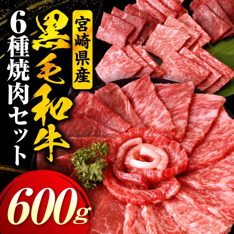 宮崎県産黒毛和牛(経産)6種焼肉セット 600g 黒毛和牛 牛肉 肉 サーロイン リブロース 肩ロース ウデ バラ モモ 焼肉 バーベキュー BBQ 濃厚 プレゼント 贈答 贈り物 ギフト