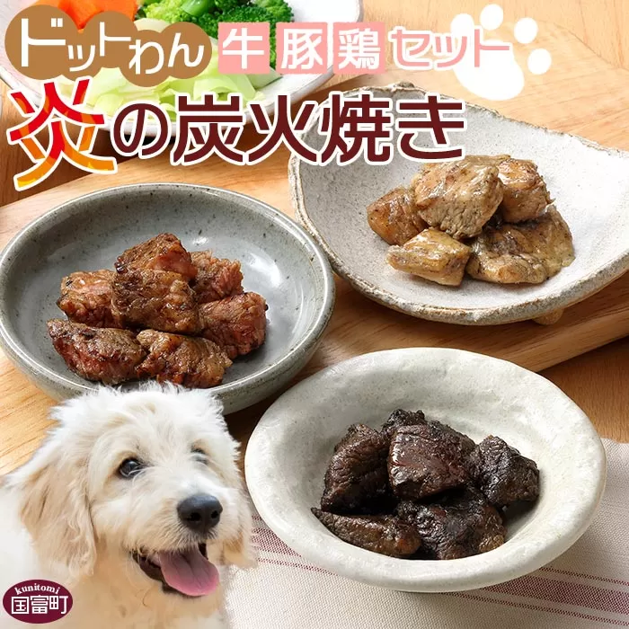 ＜愛犬用 ドットわん 炎の炭火焼き 牛豚鶏セット＞翌月末迄に順次出荷