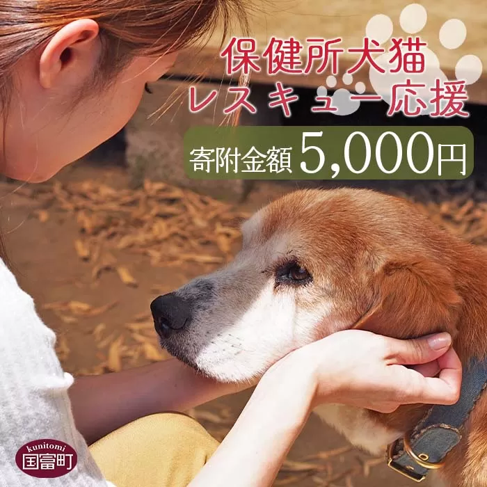 ＜保健所犬猫レスキュー【返礼品なしのご寄附】＞寄付金額5,000円※お礼状をお送りいたします。【 動物愛護 保護 犬 猫 いぬ ねこ イヌ ネコ 動物 どうぶつ ペット 応援 支援 寄付 使い道 寄附のみ いのちのはうす保護家 】
