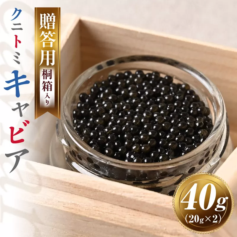 【贈答用】クニトミキャビア40g(20g×2) キャビア 国産 国産キャビア 高級 宮崎県産 珍味 おつまみ 酒の肴 家飲み 冷凍 お取り寄せ グルメ パーティー ワイン シャンパン 贈答 贈り物 プレゼント 記念日 ご褒美 おもてなし 魚卵 宮崎県 国富町