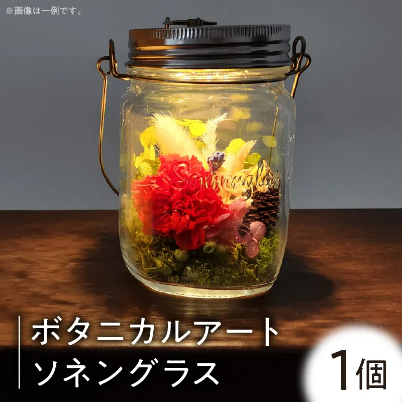 ボタニカルアート ソネングラス