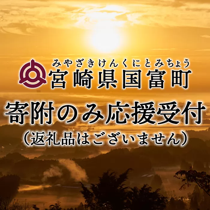 ＜寄附のみの応援受付(返礼品はございません)＞寄附額1,000円【 応援 寄附 未来 地域支援 おすすめ 1000円 国富町 宮崎県国富町 】