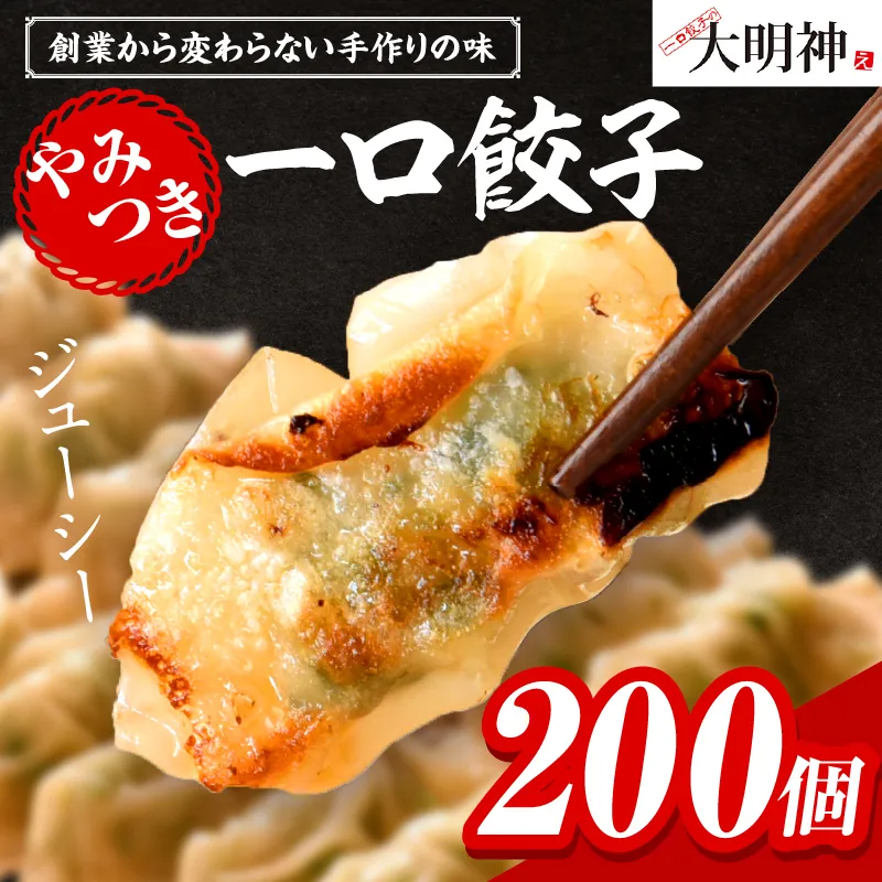 一口餃子 200 個入りタレ４個