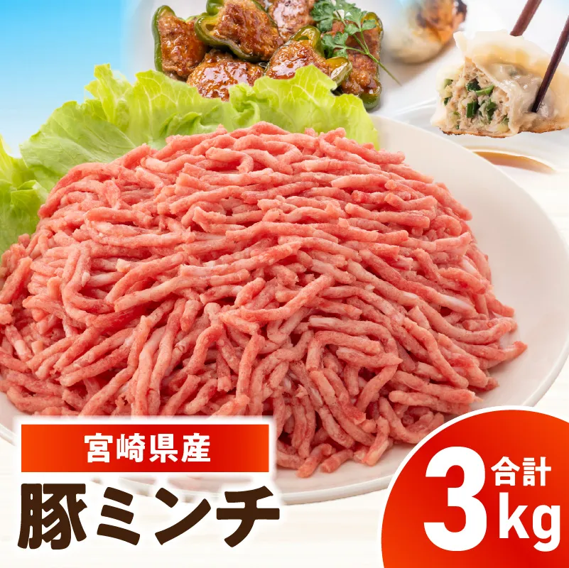宮崎県産豚ミンチ 3kg_kn126-002-030