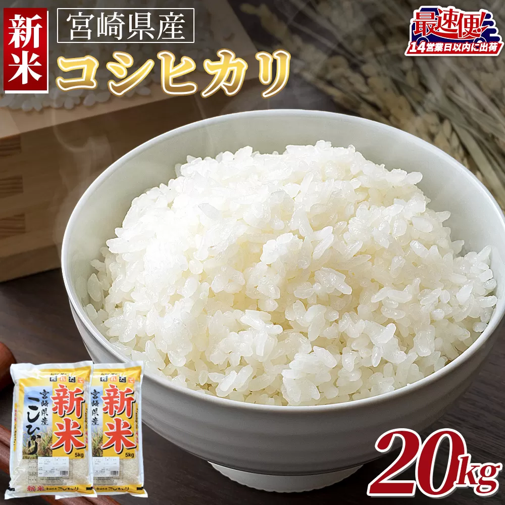 ＜令和7年度産新米　宮崎県産コシヒカリ　20kg＞14営業日以内に順次出荷【 国産 米 お米 最速便 白米 精米 こしひかり ごはん ご飯 白飯 食品 】