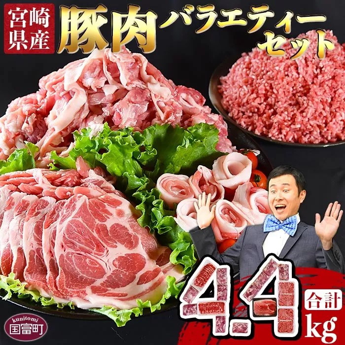 ＜宮崎県産豚肉 バラエティーセット4.4kg＞翌月末迄に順次出荷