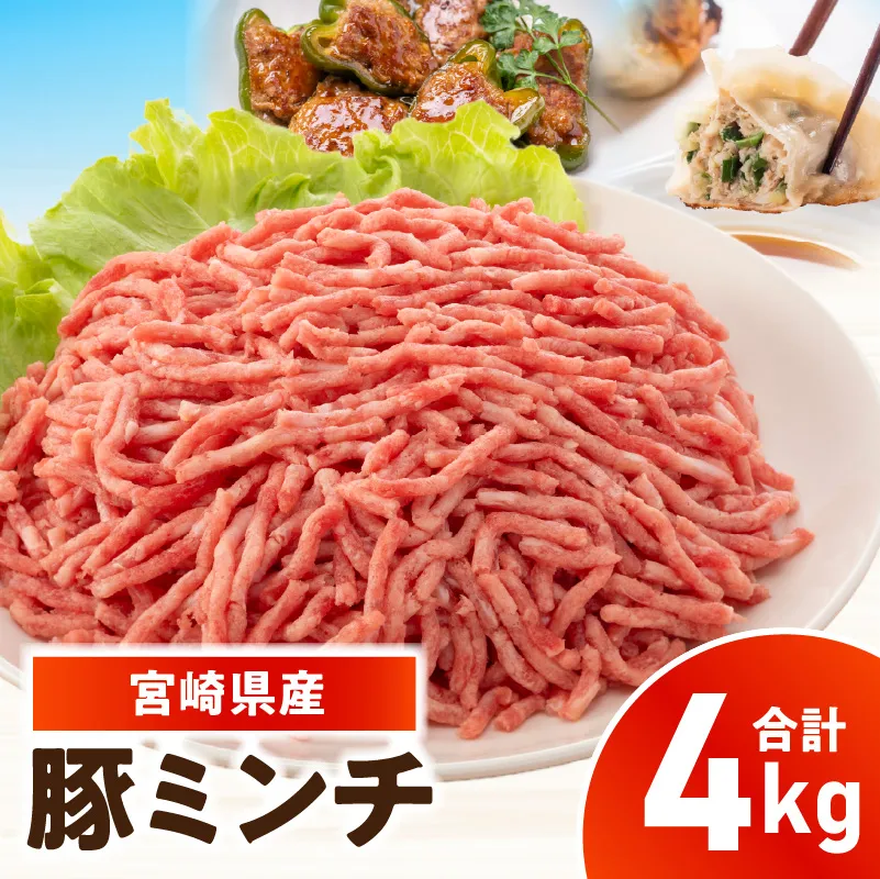 宮崎県産豚ミンチ 4kg_kn126-002-040