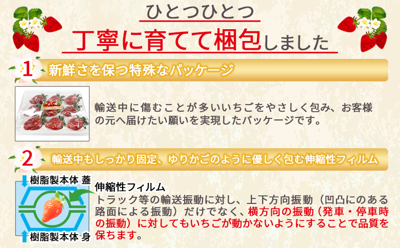 高級いちご「やよい姫」（15粒×1パック 約380g以上）簡易包装＞2025年1  