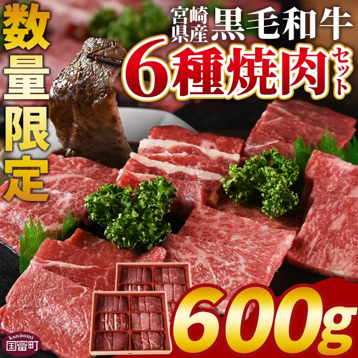 数量限定 ＜宮崎県産黒毛和牛(経産)6種焼肉セット 600g＞1か月以内に順次出荷【 国産 黒毛和牛 牛肉 牛 精肉 焼き肉 焼肉 サーロイン リブロース 肩ロース ウデ モモ バラ 贈答品 ギフト 贈り物 グルメ ミヤチク 】