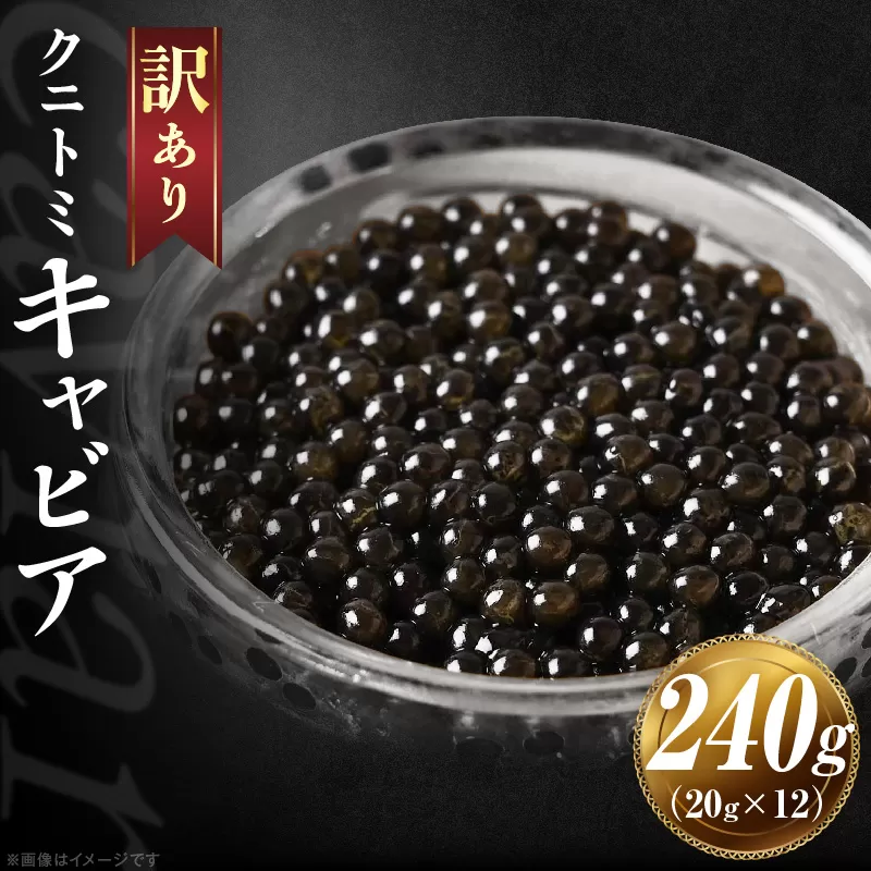【訳あり】クニトミキャビア 240gセット(20g×12) キャビア 国産 国産キャビア 高級 宮崎県産 珍味 おつまみ 酒の肴 家飲み 冷凍 訳あり お取り寄せ グルメ パーティー ワイン シャンパン 記念日 ご褒美 おもてなし 魚卵 宮崎県 国富町