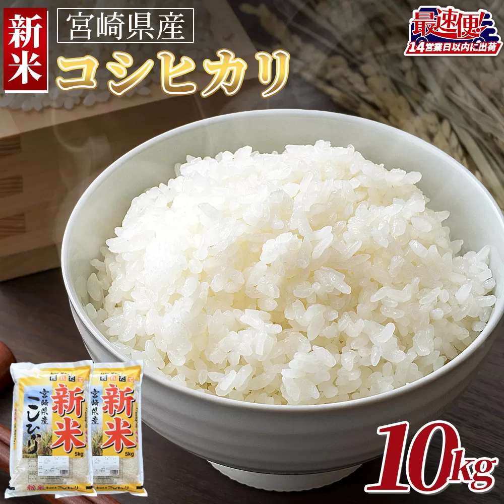 ＜令和7年度産新米　宮崎県産コシヒカリ　10kg＞14営業日以内に順次出荷【 国産 米 お米 最速便 白米 精米 こしひかり ごはん ご飯 白飯 食品 】