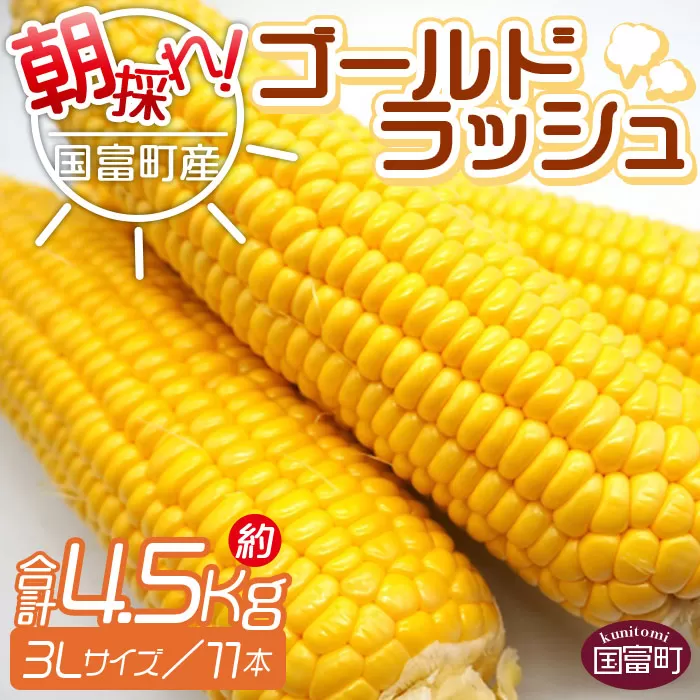 【倉庫】予約受付！＜朝採れ！国富町産ゴールドラッシュ4.5Kg3L11本＞2024年5月下旬〜7月上旬迄に順次出荷【 とうもろこし スイートコーン 先行予約 野菜 穀物 甘い トウモロコシ 季節物 数量限定 とうきび コーン 】