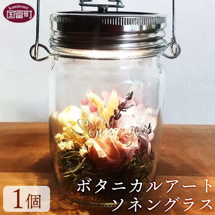＜ボタニカルアート ソネングラス＞翌月末迄に順次出荷