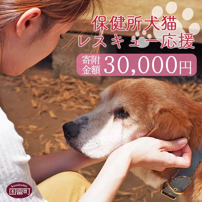 ＜保健所犬猫レスキュー【返礼品なしのご寄附】＞寄付金額30,000円※お礼状をお送りいたします。【 動物愛護 保護 犬 猫 いぬ ねこ イヌ ネコ 動物 どうぶつ ペット 応援 支援 寄付 使い道 いのちのはうす保護家 】