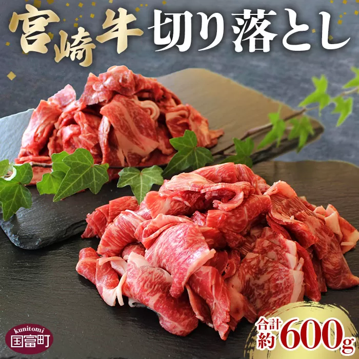 ＜宮崎牛切り落し 合計約600g (約300g×2パック)＞2か月以内に順次出荷