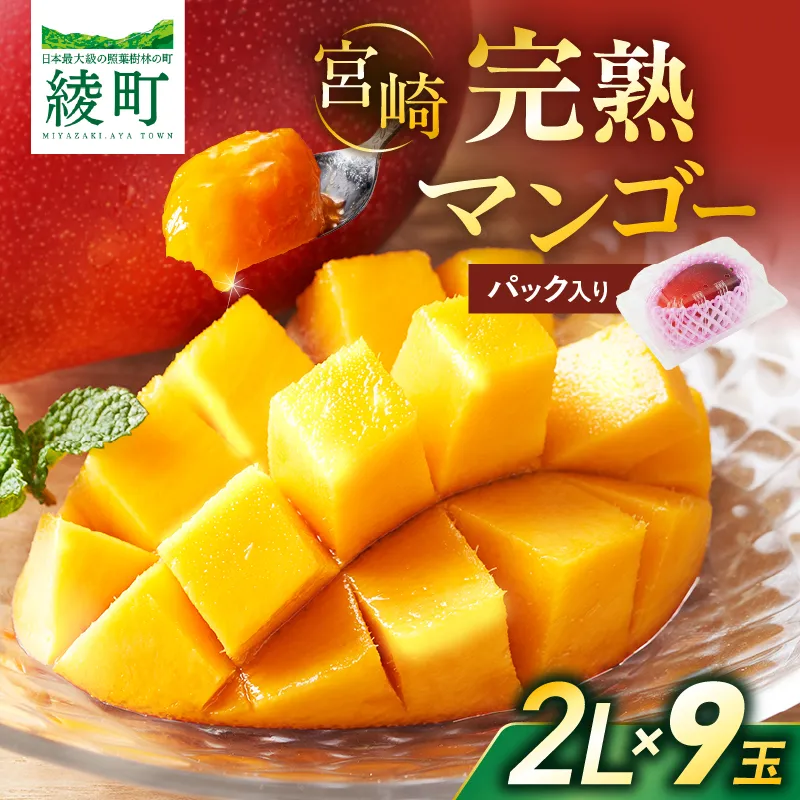 完熟マンゴー2L×2玉（パック）【JA綾町】_A0114-1021