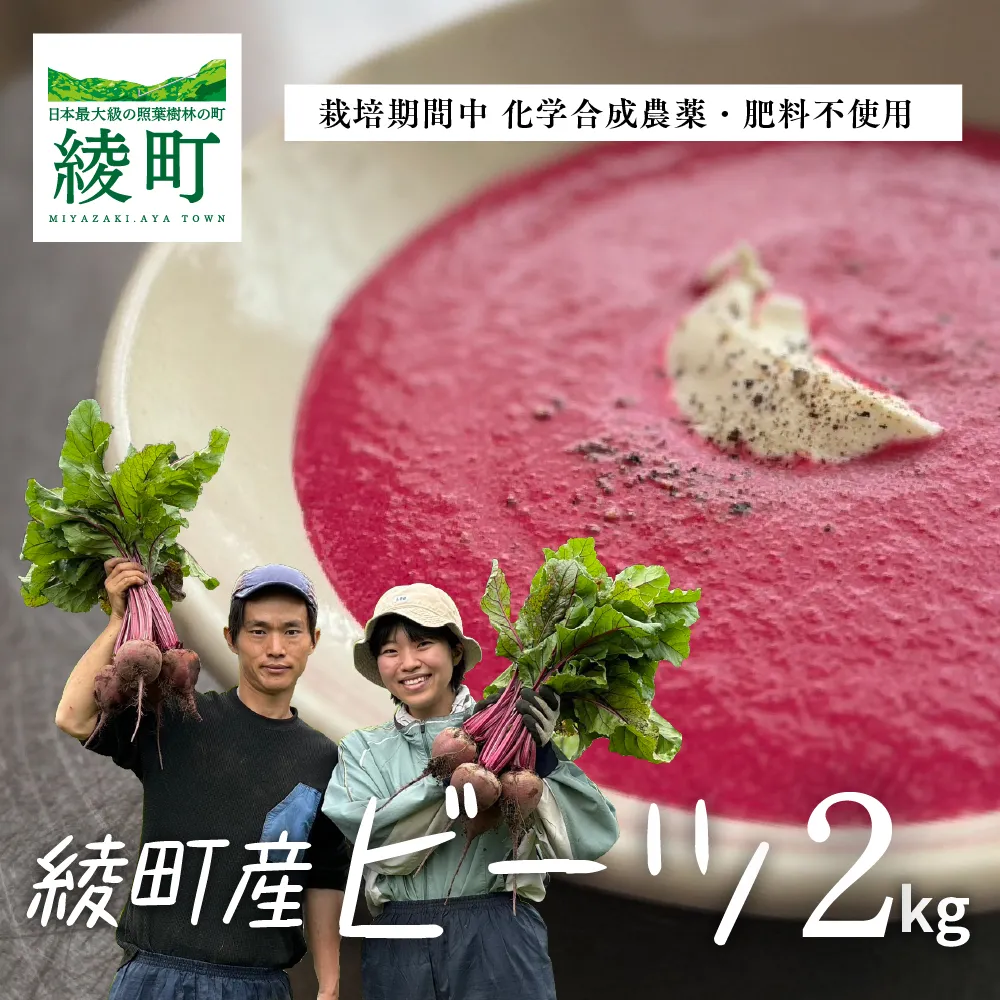 綾町産ビーツ ２kg[おすすめレシピ付き]_A0096-002