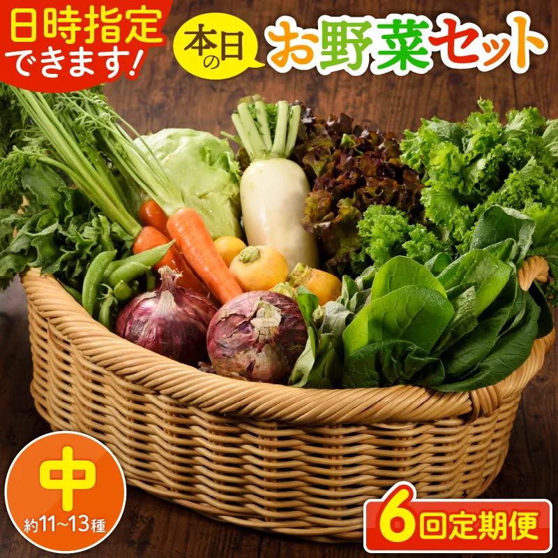 日時指定可能！本日のお野菜セット（サイズ中）【全６回定期便】_A0053-007
