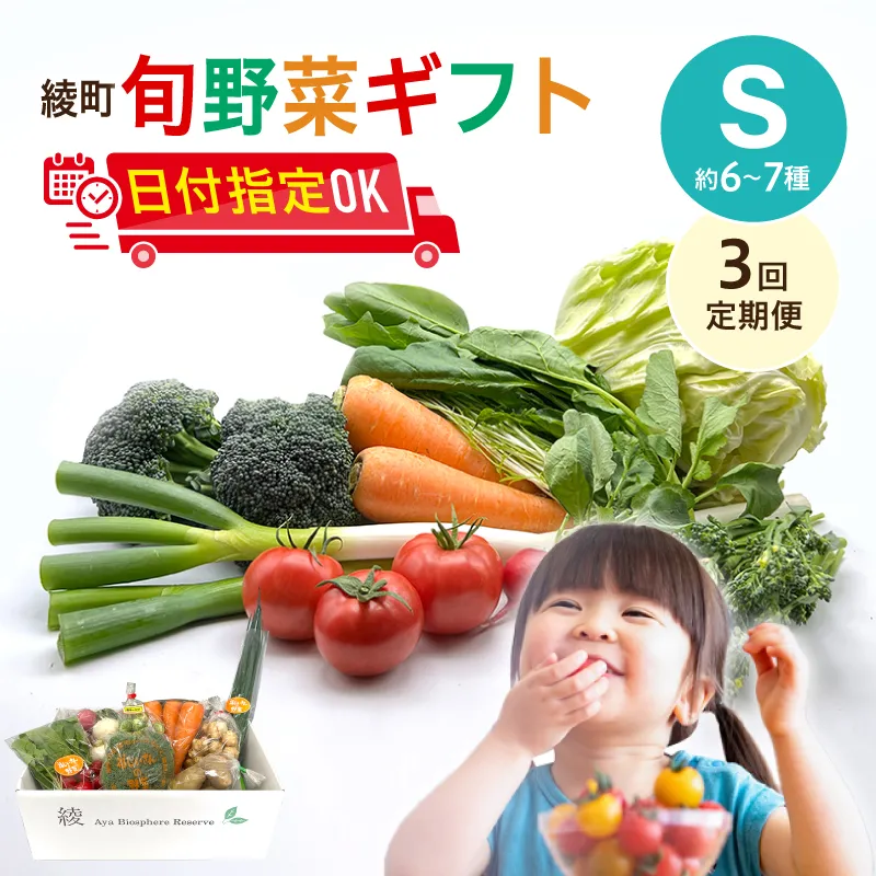綾町旬野菜ギフト(Sサイズ)【全3回定期便】_A0004-101