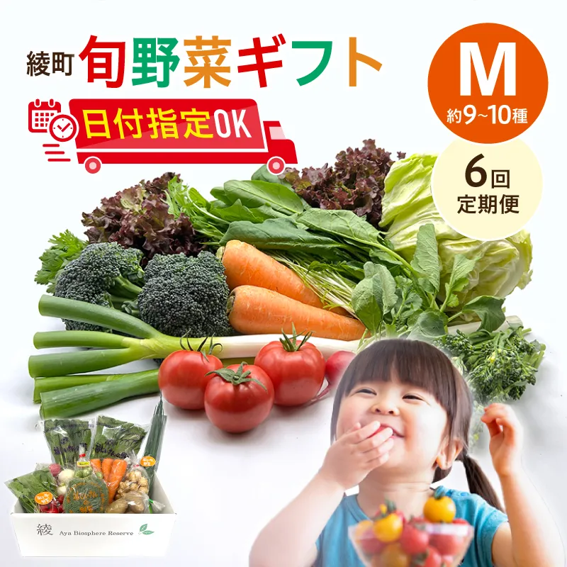 綾町旬野菜ギフト(Mサイズ)【全6回定期便】_A0004-106