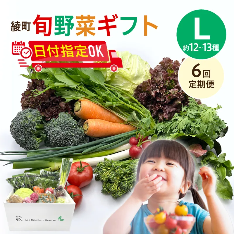 綾町旬野菜ギフト(Lサイズ)【全6回定期便】_A0004-110