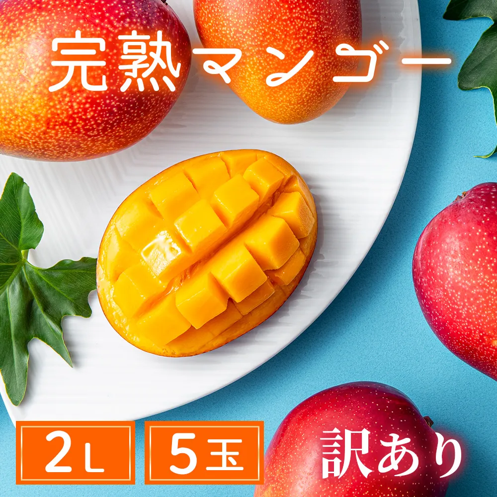 【訳あり】完熟マンゴー 2L×5玉(パック)【濃厚 高級 宮崎 果物 フルーツ 贈答 ギフト 甘い 先行受付 送料無料】【JA綾町】_A0114-1081