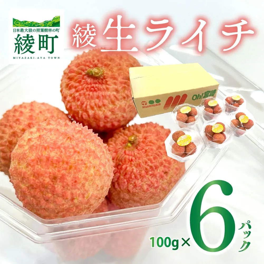 【数量限定】希少 綾生ライチ お裾分けセット  [６パック] 宮崎県 綾町産 ライチ 国産ライチ 果物 フルーツ 生ライチ 産地直送 期間限定 お中元 小分け 送料無料【JA綾町】_A0114-1051