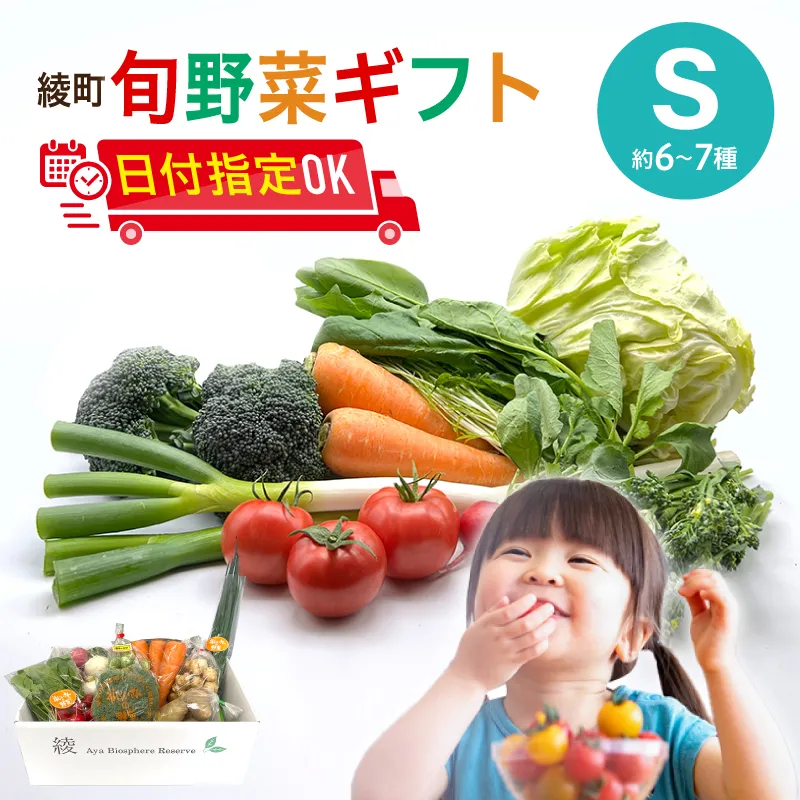 綾町旬野菜ギフト〈 Sサイズ/7~8種 〉1~2人分 産地直送 野菜セット 詰め合わせ 新鮮 有機栽培 旬 採れたて 野菜 新鮮野菜 送料無料 【オーガニックのまち 宮崎県綾町】_A0004-1001