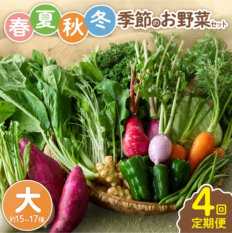 【全４回定期便】春夏秋冬 季節のお野菜セット（サイズ大） 約15～17種 宮崎県産 野菜定期便 詰め合わせ 新鮮 野菜 産地直送 野菜セット 農家直送 有機栽培 送料無料 【オーガニックのまち 宮崎県綾町】_A0053-015