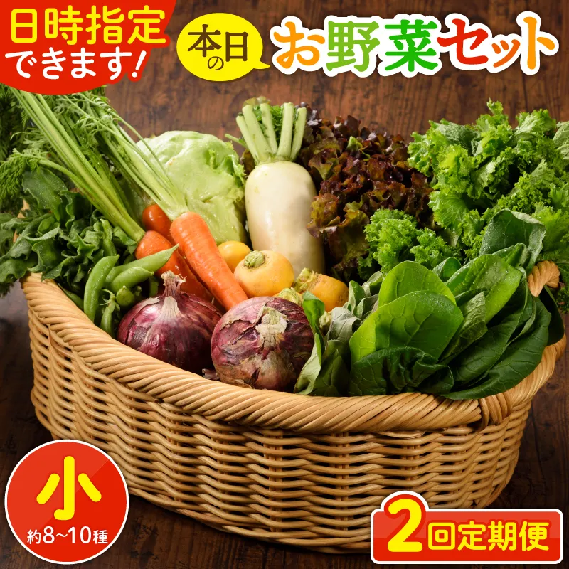 日時指定可能！本日のお野菜セット（サイズ小）【全２回定期便】_A0053-002