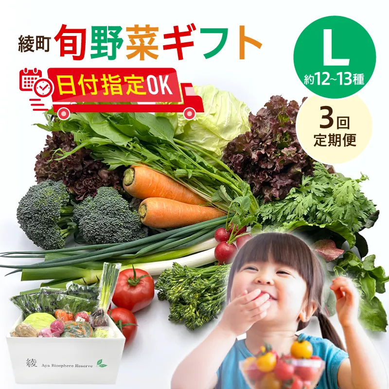 綾町旬野菜ギフト(Lサイズ)【全3回定期便】_A0004-109