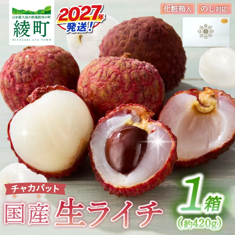 先行予約 数量限定 希少 国産 綾 生ライチ 1箱(化粧箱入り)果物 フルーツ くだもの 国産ライチ 2027年 トロピカルフルーツ 南国フルーツ 冷蔵 ジューシー 高級 デザート ギフト 贈り物 プレゼント ご褒美 宮崎県 送料無料【JA綾町】_A0114-1042