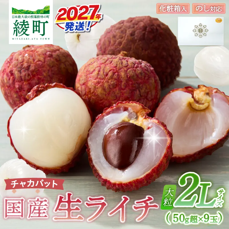 先行予約 数量限定 希少 国産 綾 生ライチ 大粒 2L サイズ（化粧箱入り）果物 フルーツ くだもの 国産ライチ 2027年 トロピカルフルーツ 南国フルーツ 冷蔵 ジューシー 高級 デザート ギフト 贈り物 プレゼント ご褒美 宮崎県 送料無料【JA綾町】_A0114-266