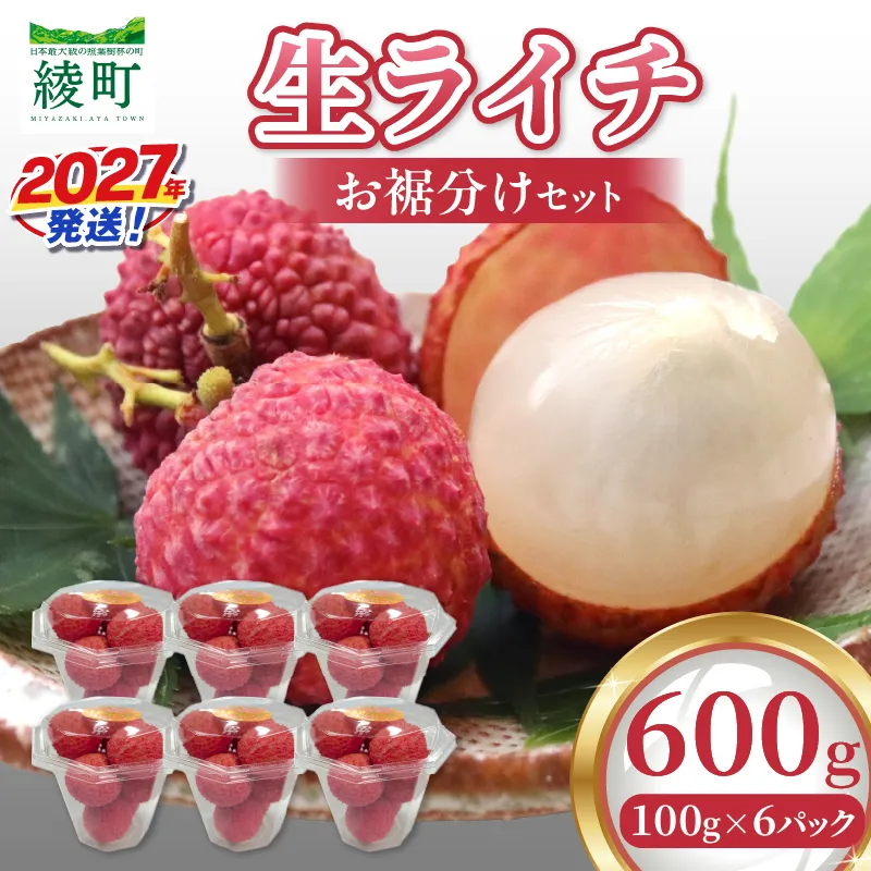 先行予約 数量限定 希少 綾生ライチ お裾分け セット 600g 果物 フルーツ くだもの 国産ライチ 2027年 トロピカルフルーツ 南国フルーツ 冷蔵 ジューシー 高級 デザート ギフト 贈り物 プレゼント ご褒美 おすすめ 宮崎県 送料無料 【JA綾町】_A0114-1053