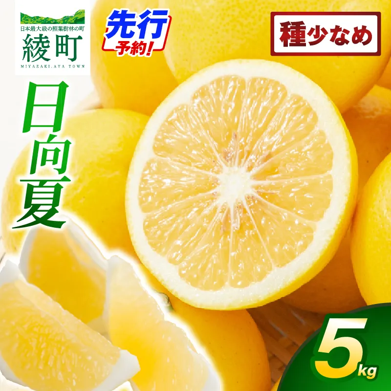 【先行受付】初春の旬「日向夏」種が少ない 5kg 果物 フルーツ くだもの 柑橘 フルーツサンド おやつ スイーツ デザート ジャム おすすめ ギフト 贈り物 贈答 プレゼント おすそ分け お返し 宮崎県 綾町 送料無料【JA綾町】_A0114-243