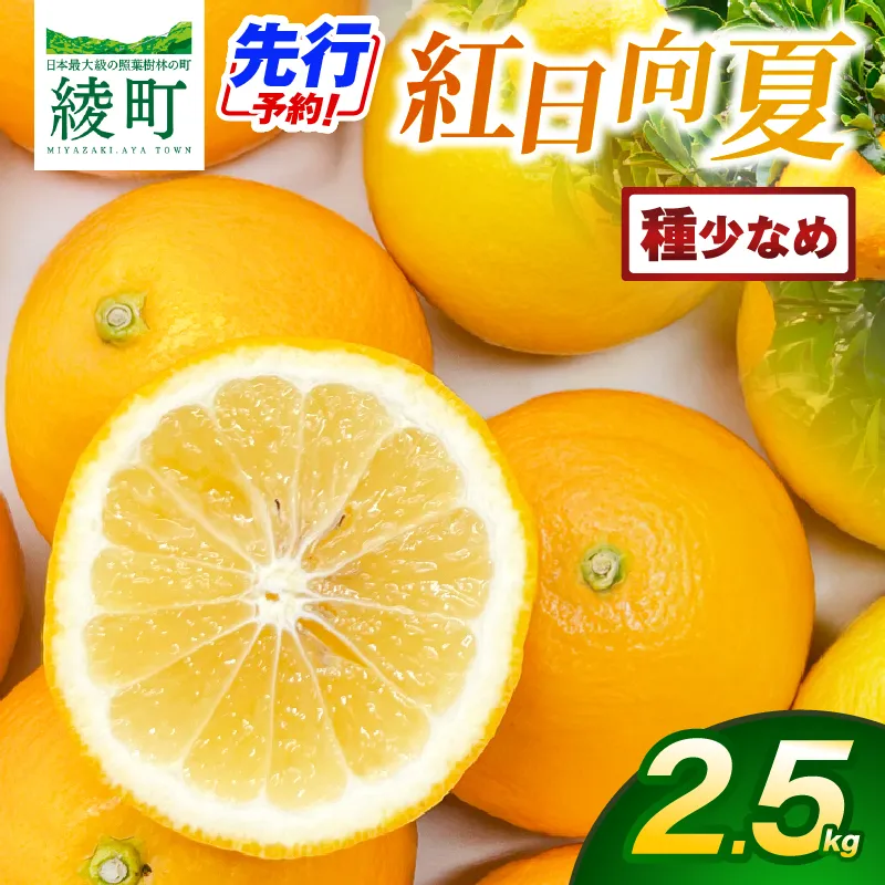 【先行予約】紅日向夏 2.5kg（小核）果物 フルーツ くだもの 柑橘 種少なめ フルーツサンド おやつ スイーツ デザート ジャム おすすめ ギフト 贈り物 贈答 プレゼント おすそ分け お返し 宮崎県 綾町 送料無料【JA綾町】_A0114-244