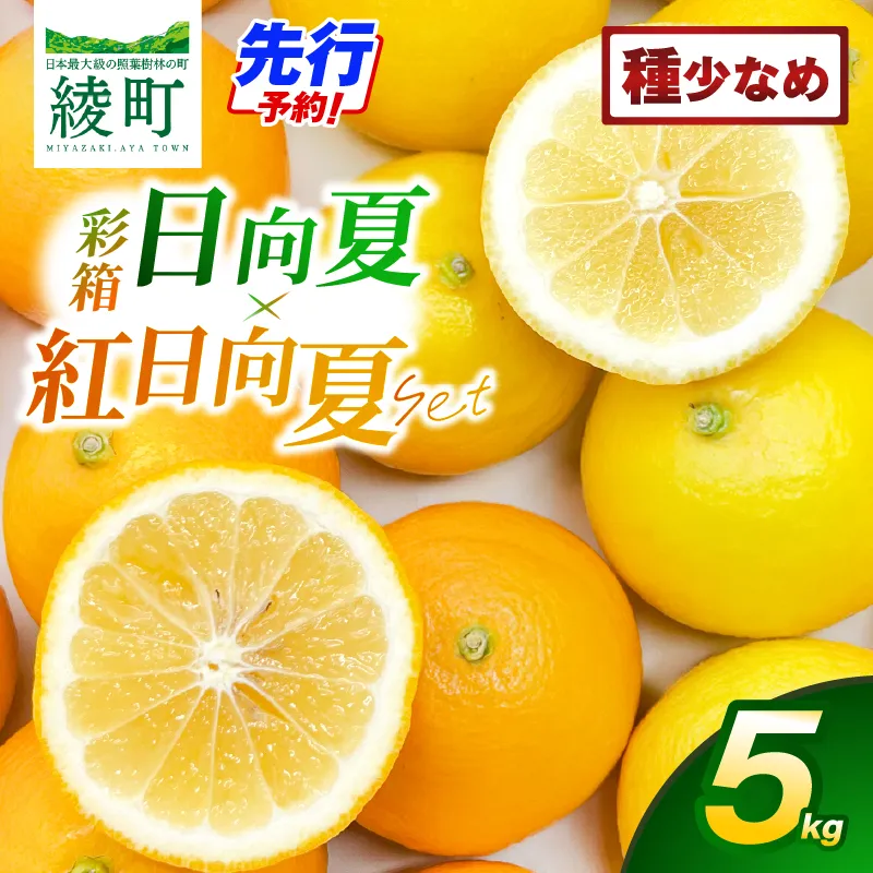 【先行予約】紅日向夏と日向夏の彩り箱 5kg 果物 フルーツ くだもの 柑橘 種少なめ フルーツサンド おやつ スイーツ デザート ジャム おすすめ ギフト 贈り物 贈答 プレゼント おすそ分け お返し 宮崎県 綾町 送料無料【JA綾町】_A0114-246