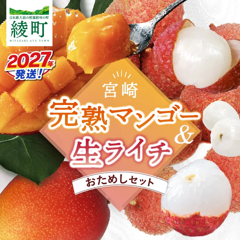 先行予約 数量限定 希少 完熟マンゴー 1玉 生ライチ 1パック セット マンゴー 宮崎 国産ライチ 果物 フルーツ くだもの 2027年 国産 高級 南国フルーツ 詰め合わせ おすすめ ギフト 贈り物 プレゼント ご褒美 お祝い デザート 冷蔵 綾町 送料無料 【JA綾町】_A0114-2093