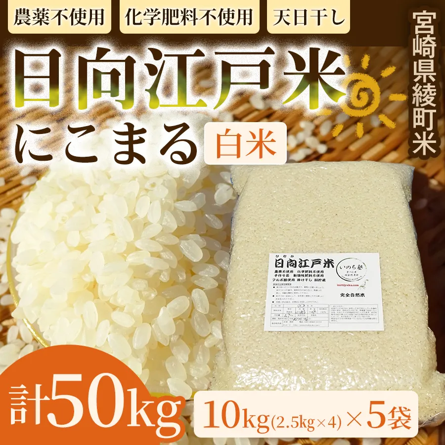 天日干しが引き出す お米の旨味 日向江戸米（にこまる）【白米】計50kg 国産米 ブランド米 農薬不使用 化学肥料不使用 無農薬 ごはん ご飯 おにぎり お弁当 冷めても美味しい もっちり食感 和食 主食 人気 おすすめ 宮崎県 綾町 送料無料_A0038-025