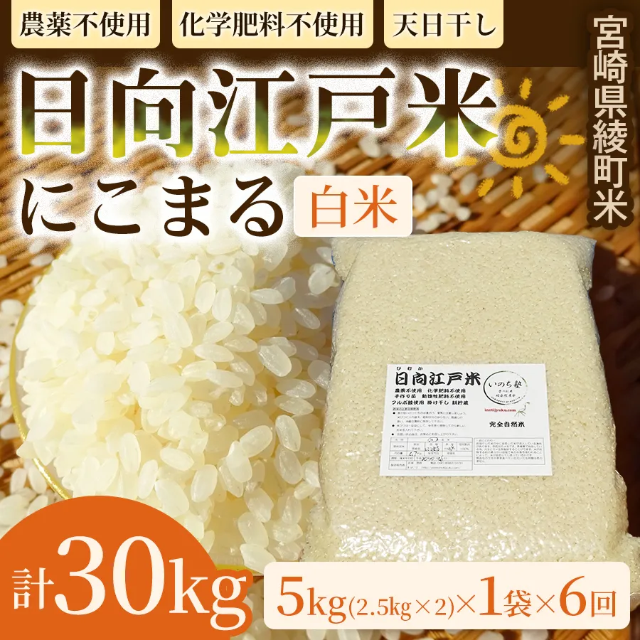 【6か月定期便】天日干しが引き出す お米の旨味 日向江戸米（にこまる）【白米】合計30kg 国産米 ブランド米 農薬不使用 化学肥料不使用 無農薬 ごはん ご飯 おにぎり お弁当 冷めても美味しい もっちり食感 和食 主食 人気 おすすめ 宮崎県 綾町 送料無料_A0038-027