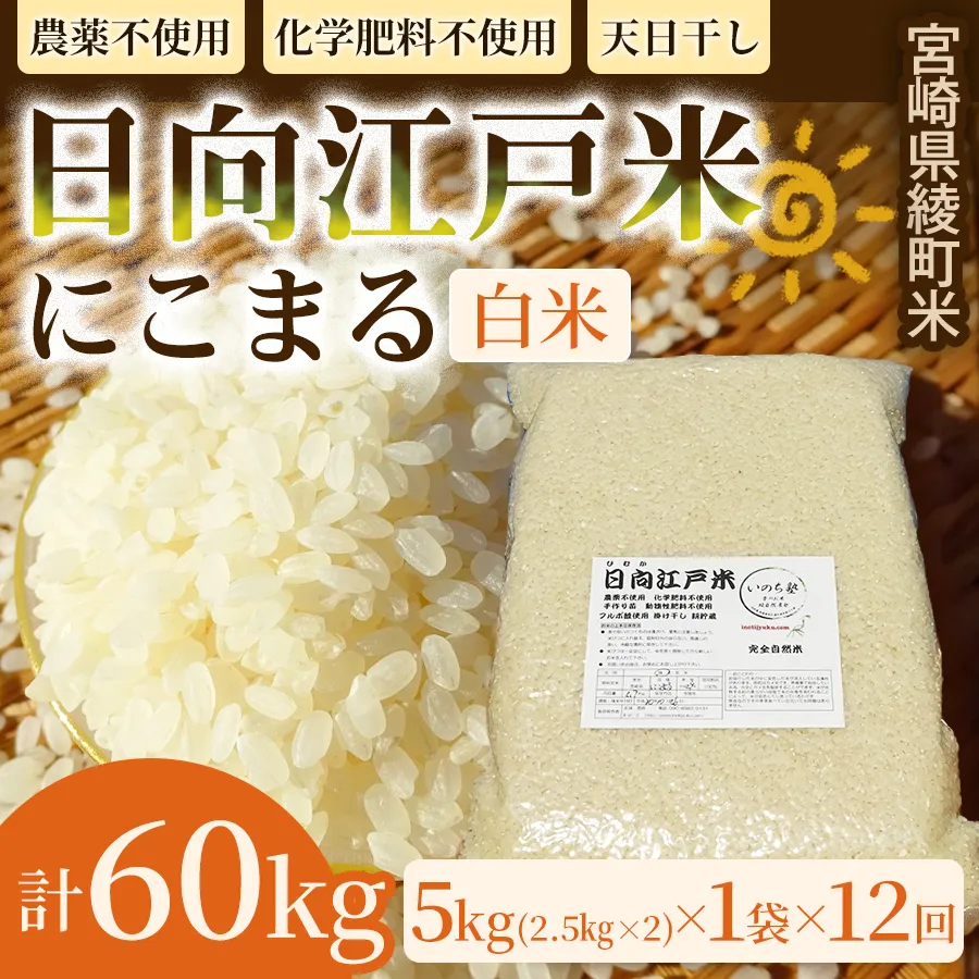 【12か月定期便】天日干しが引き出す お米の旨味 日向江戸米（にこまる）【白米】合計60kg 国産米 ブランド米 農薬不使用 化学肥料不使用 無農薬 ごはん ご飯 おにぎり お弁当 冷めても美味しい もっちり食感 和食 主食 人気 おすすめ 宮崎県 綾町 送料無料_A0038-028