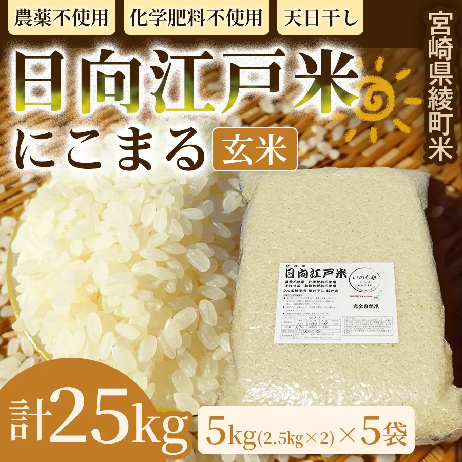 天日干しが引き出す お米の旨味 日向江戸米（にこまる）【玄米】計25kg 国産米 ブランド米 農薬不使用 化学肥料不使用 無農薬 ごはん ご飯 おにぎり お弁当 冷めても美味しい もっちり食感 和食 主食 人気 おすすめ 宮崎県 綾町 送料無料_A0038-032